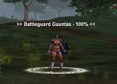 Battleguard Gauntas