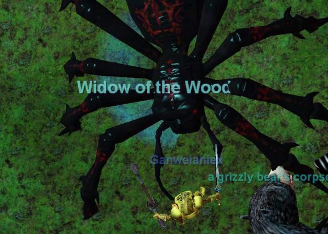 Widow of the Woods