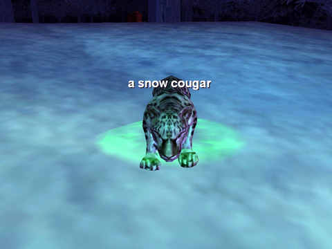 a snow cougar（New)