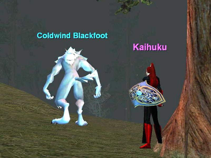 Coldwind Blackfoot