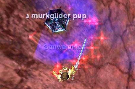 a Murkrider pup