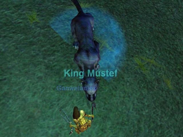 King Mustef