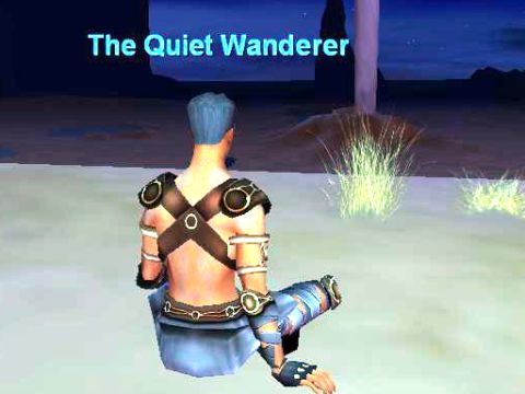 The Quiet Wanderer