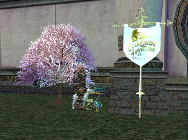 12周年記念のバナーと桜の木