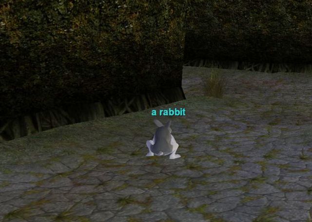 µܤ˥ȯ