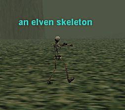 skelton